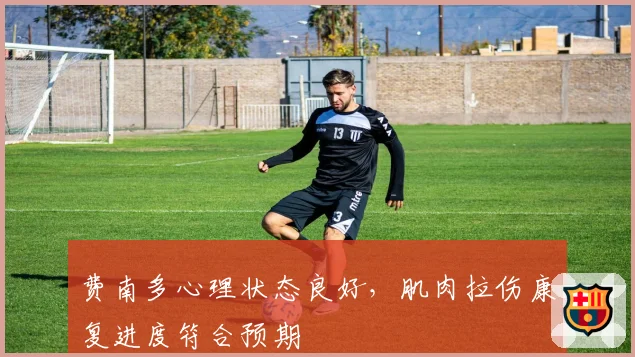 费南多心理状态良好,肌肉拉伤康复进度符合预期